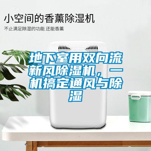 地下室用雙向流新風(fēng)除濕機(jī)，一機(jī)搞定通風(fēng)與除濕