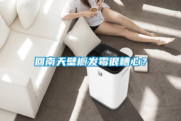 回南天壁櫥發(fā)霉很糟心？