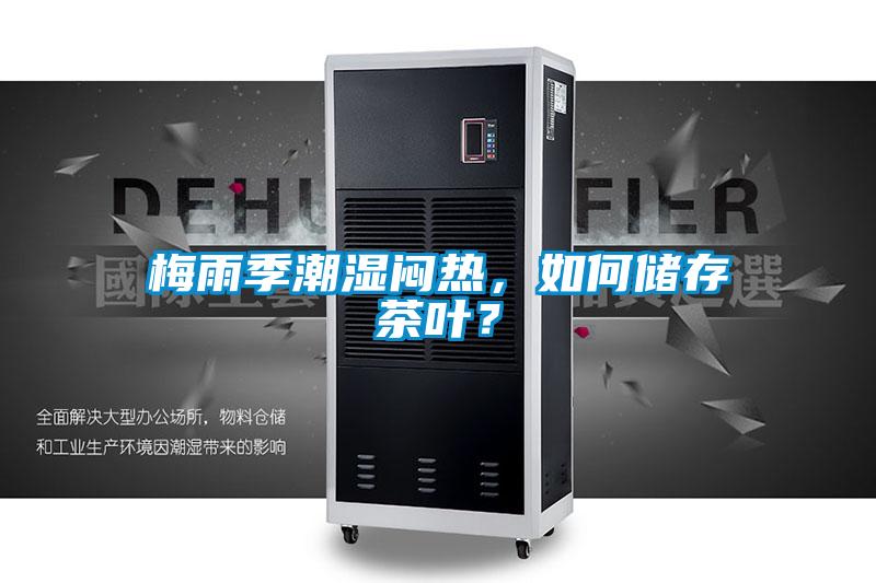 梅雨季潮濕悶熱，如何儲存茶葉？