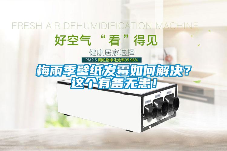 梅雨季壁紙發(fā)霉如何解決？這個(gè)有備無(wú)患！