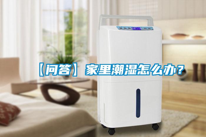 【問答】家里潮濕怎么辦？