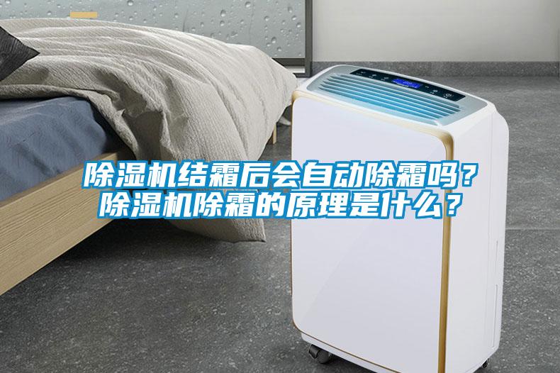 除濕機(jī)結(jié)霜后會(huì)自動(dòng)除霜嗎？除濕機(jī)除霜的原理是什么？