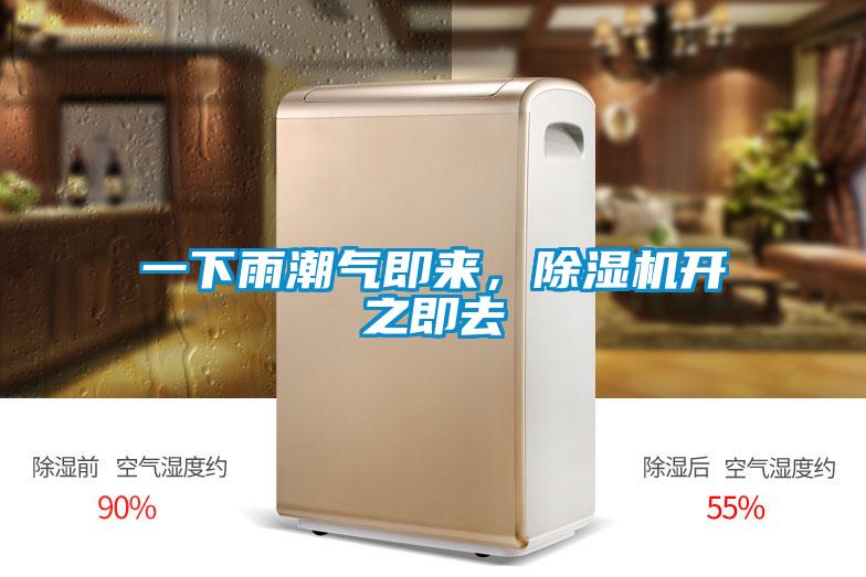 一下雨潮氣即來，除濕機開之即去