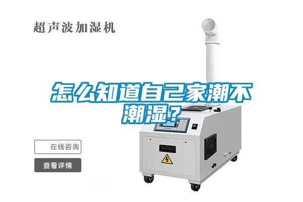 怎么知道自己家潮不潮濕？
