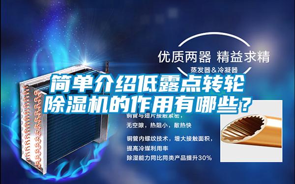 簡單介紹低露點轉(zhuǎn)輪除濕機(jī)的作用有哪些？