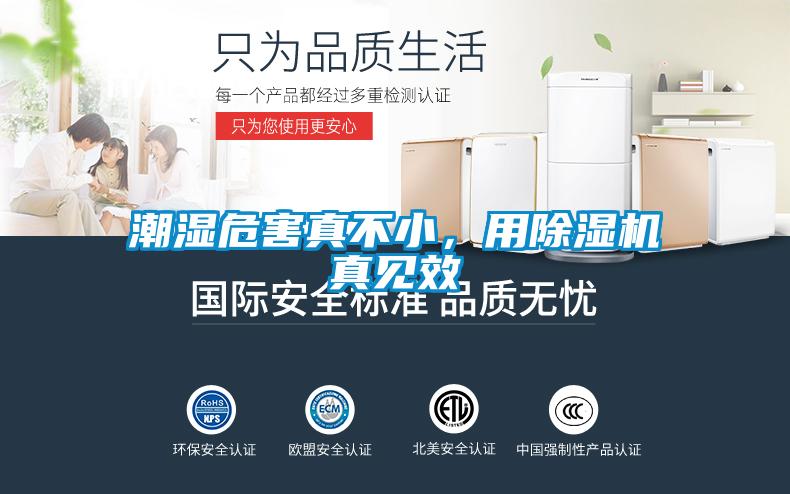 潮濕危害真不小，用除濕機真見效