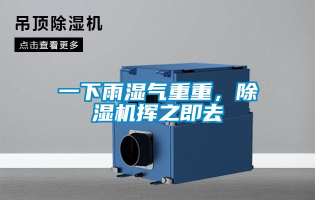 一下雨濕氣重重，除濕機揮之即去