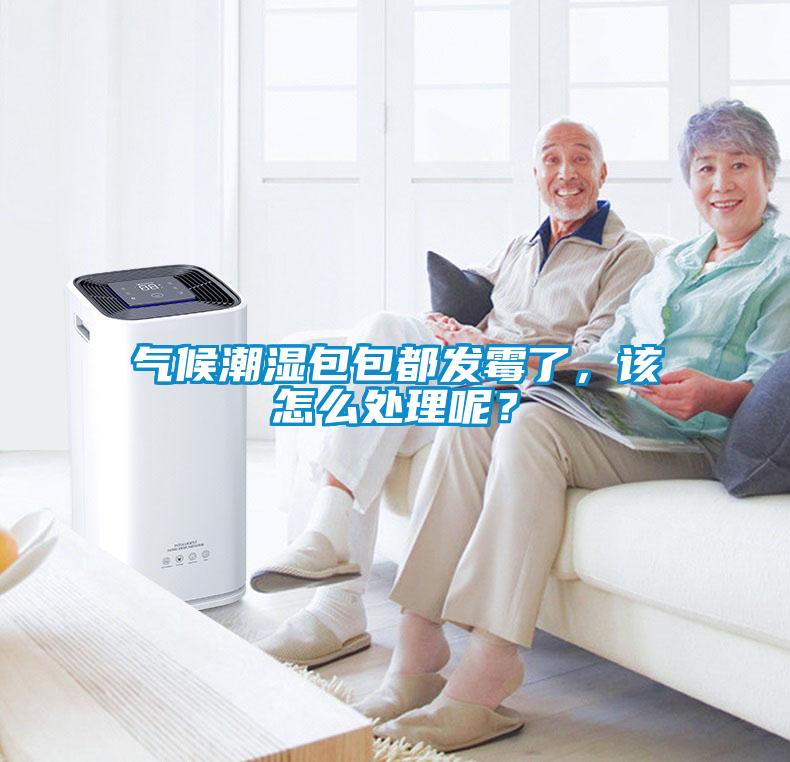 氣候潮濕包包都發(fā)霉了，該怎么處理呢？