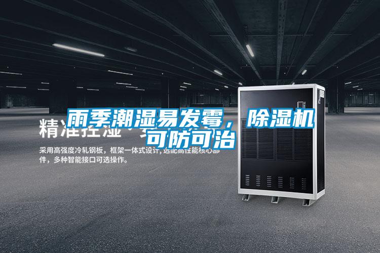 雨季潮濕易發(fā)霉，除濕機可防可治