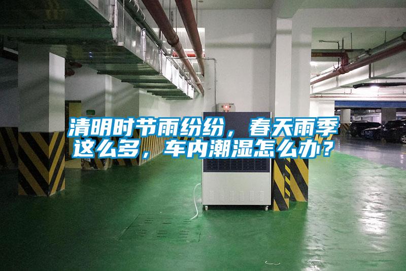 清明時(shí)節(jié)雨紛紛，春天雨季這么多，車(chē)內(nèi)潮濕怎么辦？