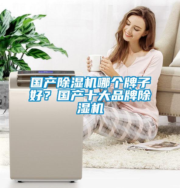 國產除濕機哪個牌子好？國產十大品牌除濕機