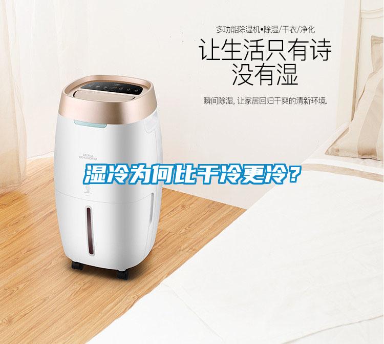 濕冷為何比干冷更冷？