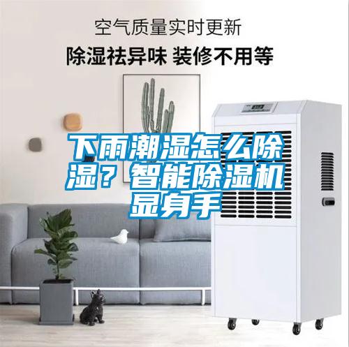 下雨潮濕怎么除濕？智能除濕機顯身手
