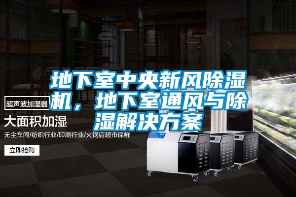地下室中央新風(fēng)除濕機，地下室通風(fēng)與除濕解決方案