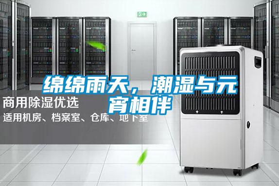 綿綿雨天，潮濕與元宵相伴