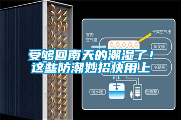 受夠回南天的潮濕了！這些防潮妙招快用上