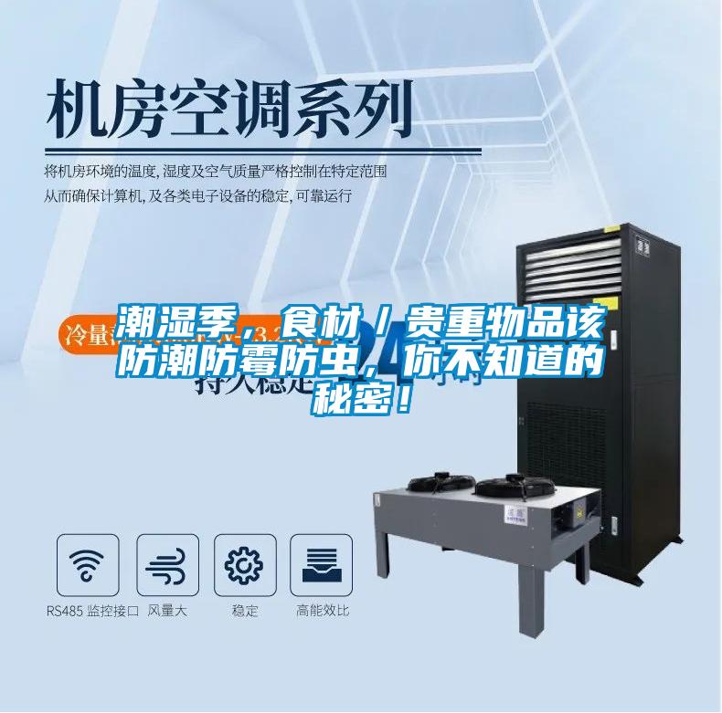 潮濕季，食材／貴重物品該防潮防霉防蟲，你不知道的秘密！