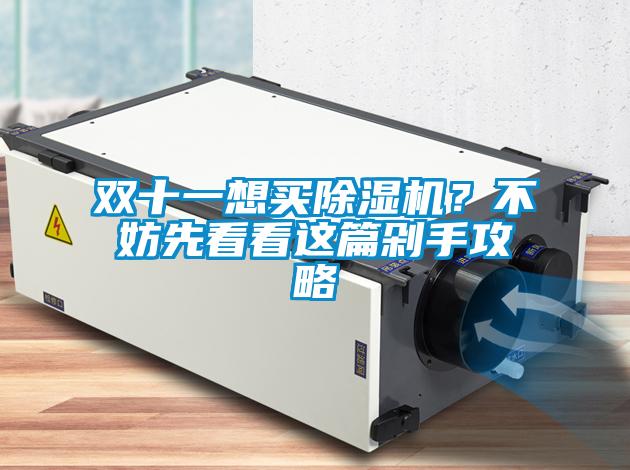 雙十一想買除濕機？不妨先看看這篇剁手攻略
