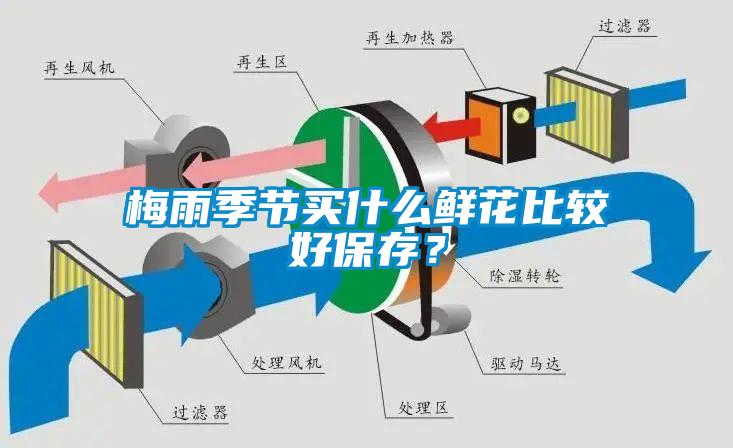 梅雨季節(jié)買什么鮮花比較好保存？