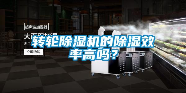 轉(zhuǎn)輪除濕機的除濕效率高嗎？