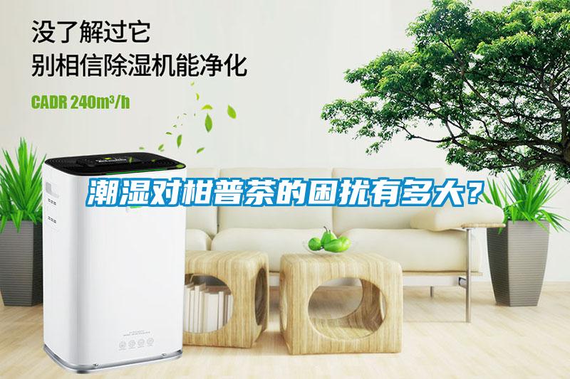 潮濕對柑普茶的困擾有多大？