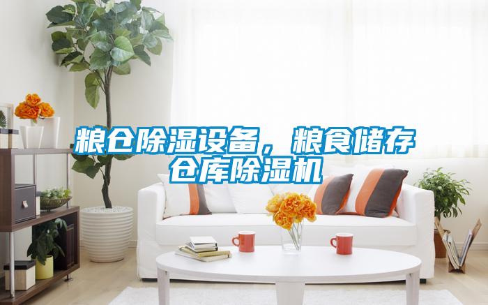 糧倉(cāng)除濕設(shè)備，糧食儲(chǔ)存?zhèn)}庫(kù)除濕機(jī)