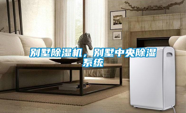 別墅除濕機(jī)，別墅中央除濕系統(tǒng)