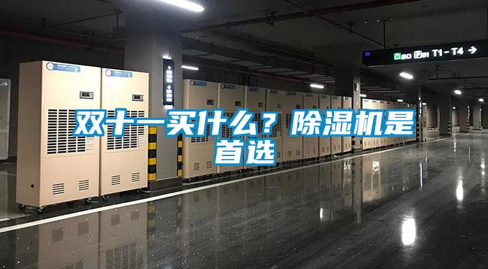 雙十一買什么？除濕機是首選