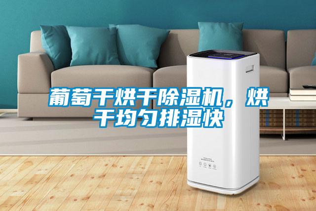 葡萄干烘干除濕機(jī)，烘干均勻排濕快