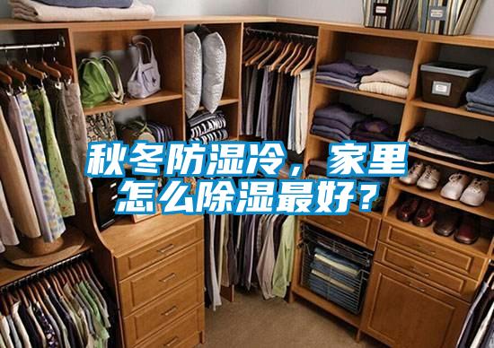 秋冬防濕冷，家里怎么除濕最好？