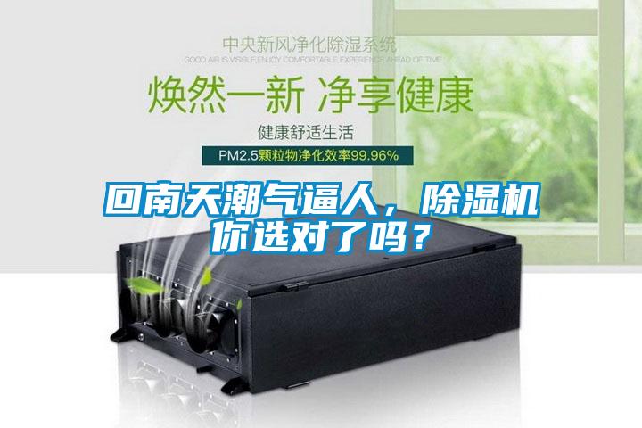 回南天潮氣逼人，除濕機你選對了嗎？