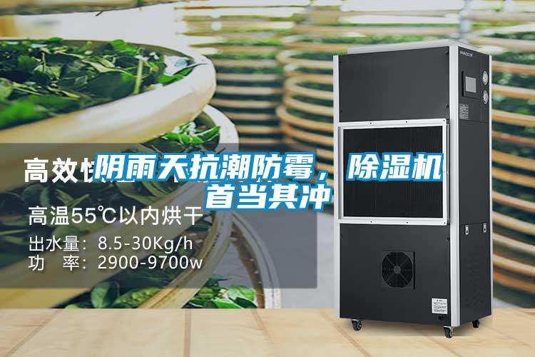 陰雨天抗潮防霉，除濕機首當(dāng)其沖