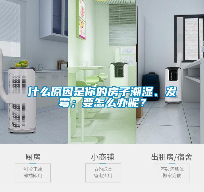 什么原因是你的房子潮濕、發(fā)霉；要怎么辦呢？