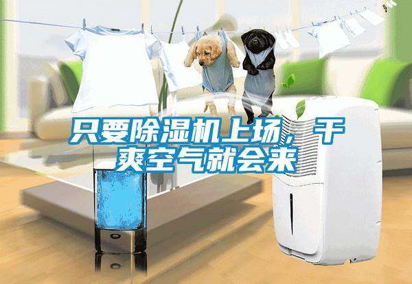 只要除濕機(jī)上場，干爽空氣就會(huì)來