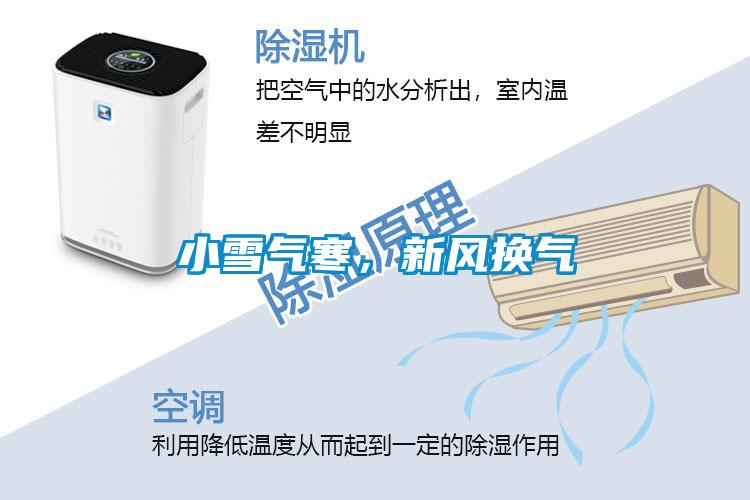 小雪氣寒，新風換氣