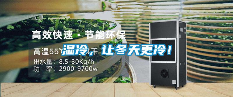 濕冷，讓冬天更冷！