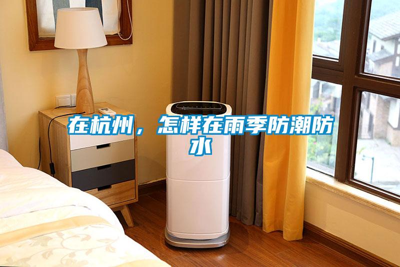 在杭州，怎樣在雨季防潮防水