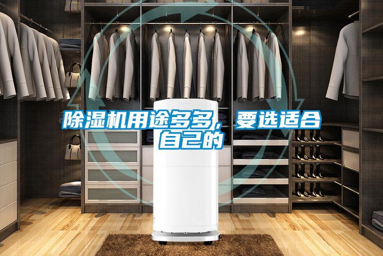 除濕機用途多多，要選適合自己的