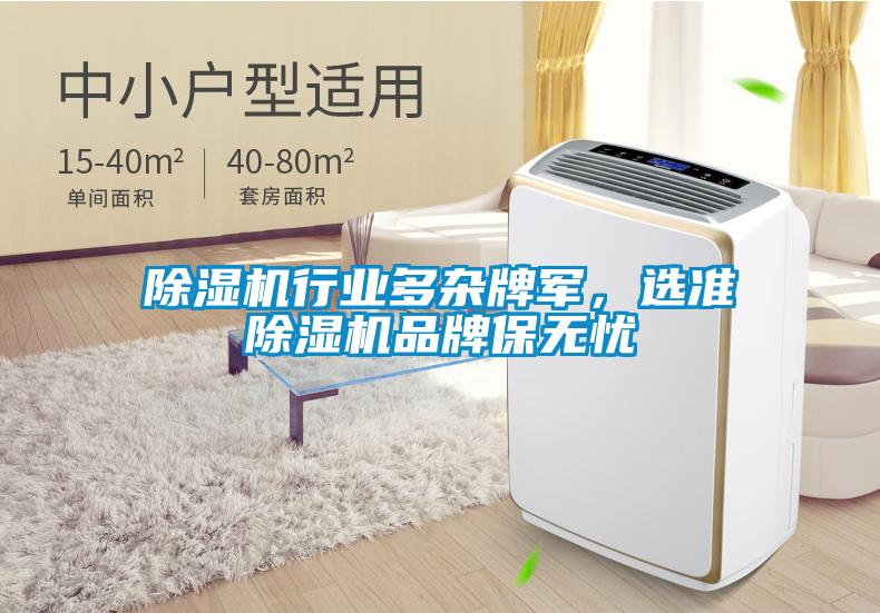 除濕機行業(yè)多雜牌軍，選準除濕機品牌保無憂