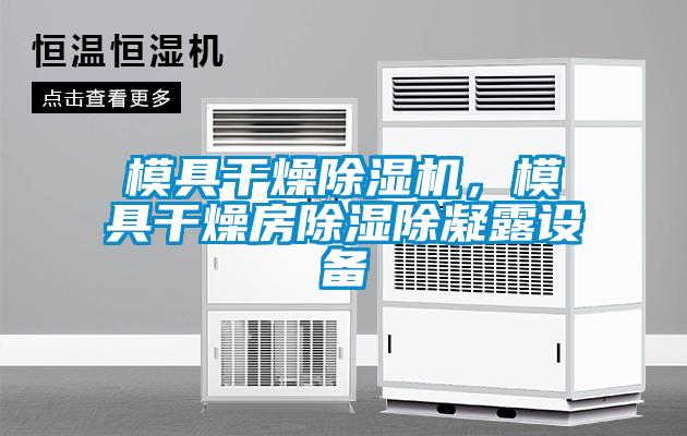 模具干燥除濕機(jī)，模具干燥房除濕除凝露設(shè)備