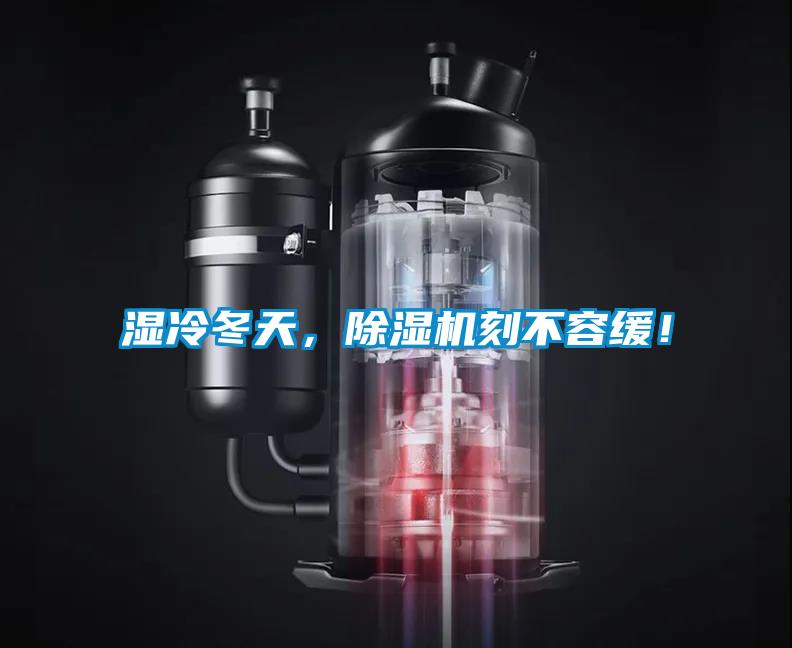 濕冷冬天，除濕機刻不容緩！