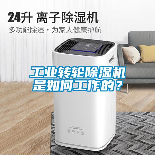 工業(yè)轉(zhuǎn)輪除濕機(jī)是如何工作的？