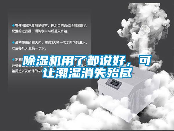 除濕機(jī)用了都說好，可讓潮濕消失殆盡