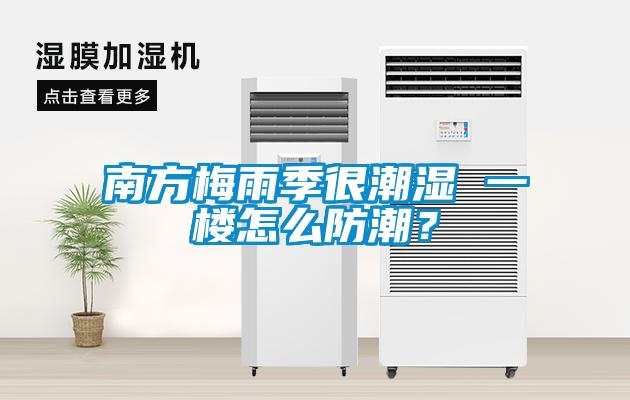 南方梅雨季很潮濕 一樓怎么防潮？