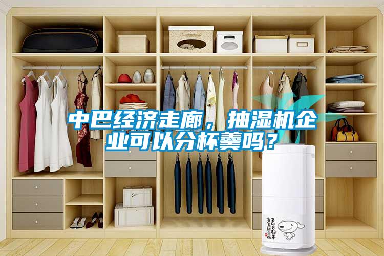 中巴經(jīng)濟(jì)走廊，抽濕機(jī)企業(yè)可以分杯羹嗎？
