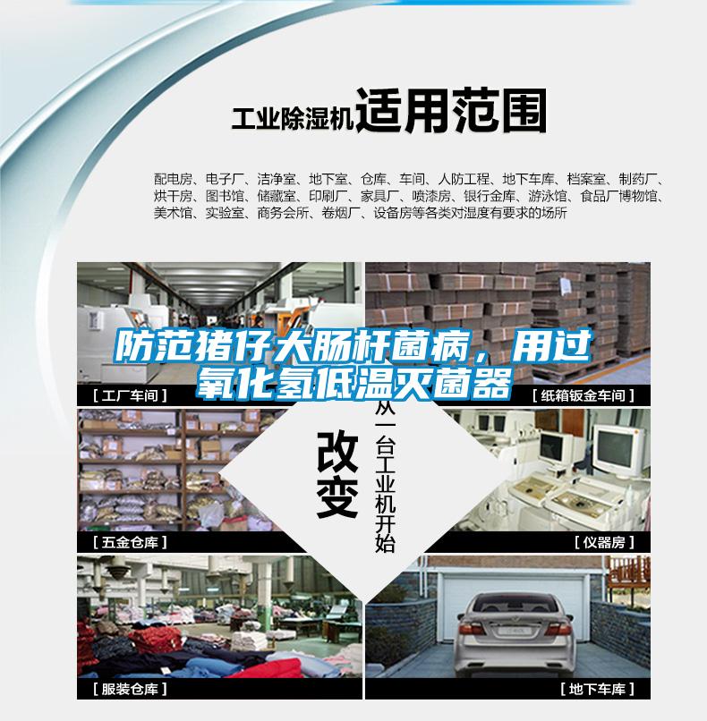 防范豬仔大腸桿菌病，用過氧化氫低溫滅菌器