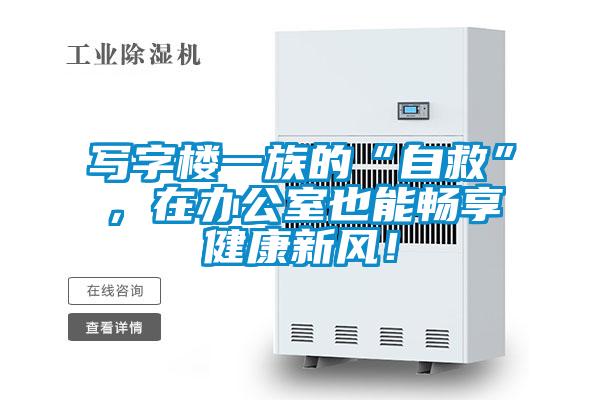 寫字樓一族的“自救”，在辦公室也能暢享健康新風(fēng)！