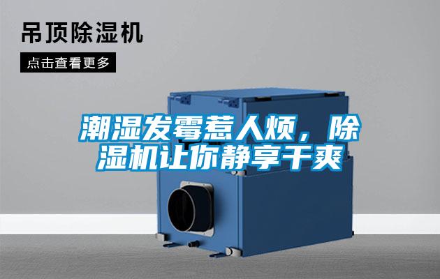 潮濕發(fā)霉惹人煩，除濕機(jī)讓你靜享干爽