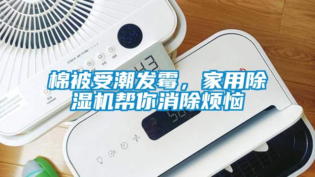棉被受潮發(fā)霉，家用除濕機幫你消除煩惱