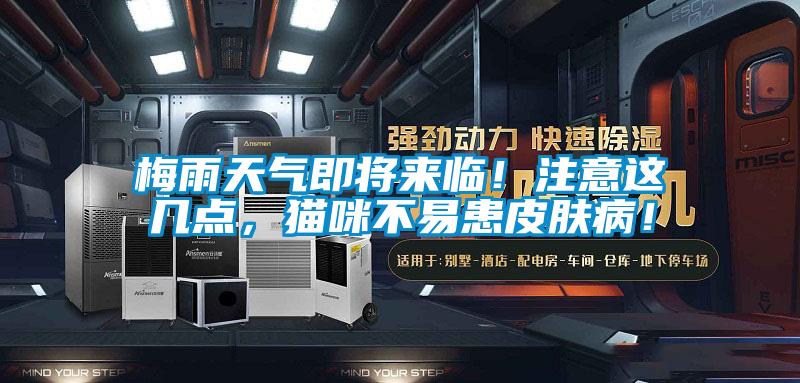 梅雨天氣即將來臨！注意這幾點(diǎn)，貓咪不易患皮膚?。?/></p>
						    <p style=